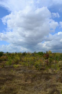 Прикрепленное изображение: DSC_0038_.jpg